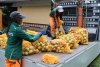 Stadtwerke sammeln für Pfaffenhofener Apfelsaft