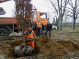Stadtwerke Pfaffenhofen - Stadtwerke als "Baumspender"