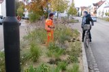 Stadtwerke Pfaffenhofen - Stadtwerke Pfaffenhofen pflanzen 12.000 Zwiebeln für ein Blütenmeer im nächsten Jahr
