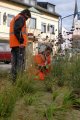 Stadtwerke Pfaffenhofen - Stadtwerke Pfaffenhofen pflanzen 12.000 Zwiebeln für ein Blütenmeer im nächsten Jahr
