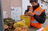 Stadtwerke Pfaffenhofen - Stadtwerke Pfaffenhofen pflanzen 12.000 Zwiebeln für ein Blütenmeer im nächsten Jahr