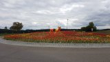 Stadtwerke Pfaffenhofen - Stadtwerke finden Hanf im Verkehrskreisel am Kuglhof