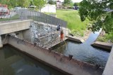 Stadtwerke Pfaffenhofen - Stadtwerke ermöglichen Max Birkl Wandmalerei für Natur in Pfaffenhofen