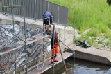 Stadtwerke Pfaffenhofen - Stadtwerke ermöglichen Max Birkl Wandmalerei für Natur in Pfaffenhofen