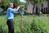 Stadtwerke Pfaffenhofen - Stadtwerke füttern Insekten auf angelegter Bienenweide