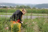 Stadtwerke Pfaffenhofen - Stadtwerke bieten Ausbildungsplätze und Ferienjobs