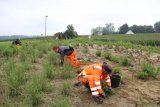 Stadtwerke Pfaffenhofen - Stadtwerke bieten Ausbildungsplätze und Ferienjobs