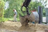 Stadtwerke Pfaffenhofen - Was wird aus den Pflanzen nach der Gartenschau?