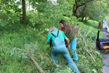 Stadtwerke Pfaffenhofen - Was wird aus den Pflanzen nach der Gartenschau?