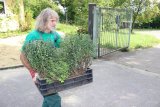 Stadtwerke Pfaffenhofen - Was wird aus den Pflanzen nach der Gartenschau?