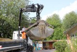 Stadtwerke Pfaffenhofen - Was wird aus den Pflanzen nach der Gartenschau?