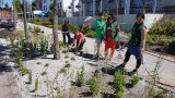Stadtwerke Pfaffenhofen - Immer aktuell: Team Stadtgrün der Stadtwerke Pfaffenhofen auf der Tagung bayrischer Gartenamtsleiter