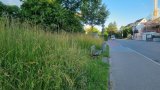 Stadtwerke Pfaffenhofen - Warum die Gräser in Pfaffenhofen derzeit so hoch stehen