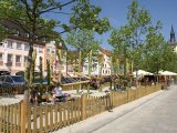 Stadtwerke Pfaffenhofen - Baumpflegearbeiten auf Hauptplatz und in der Frauenstraße