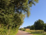 Stadtwerke Pfaffenhofen - Baumpflegearbeiten am Weingarten und in Tegernbach