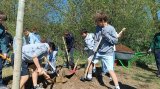 Stadtwerke Pfaffenhofen - Stadtwerke pflanzen Zitterpappel mit Georg-Hipp-Realschule