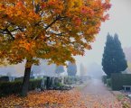 Stadtwerke Pfaffenhofen - Allerheiligen: Friedhof Altenstadt